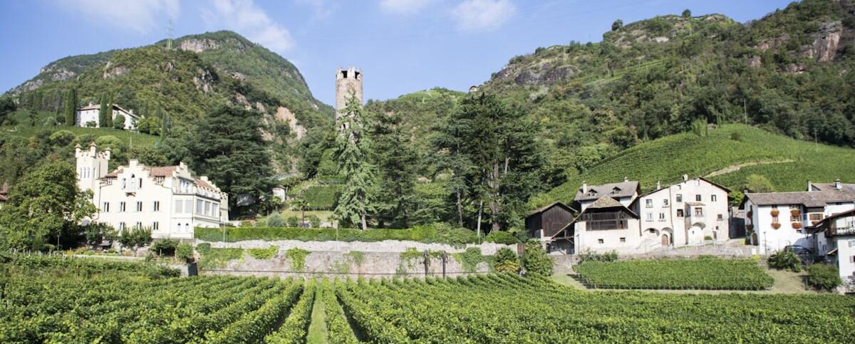 Weingut Hans Rottensteiner