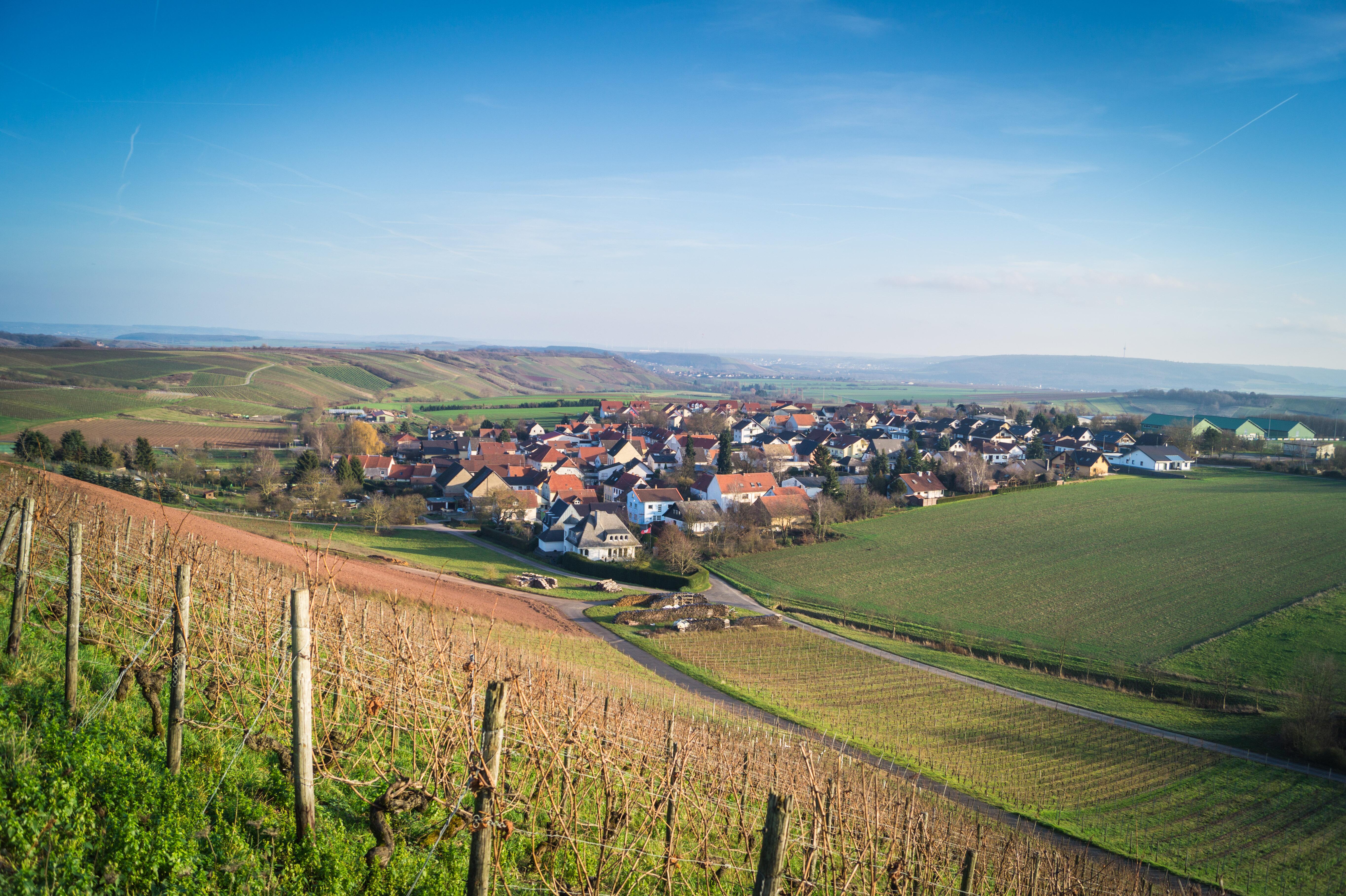 Weingut Keber Kolling