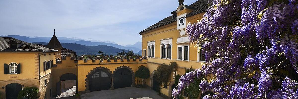 Weingut Castel Sallegg