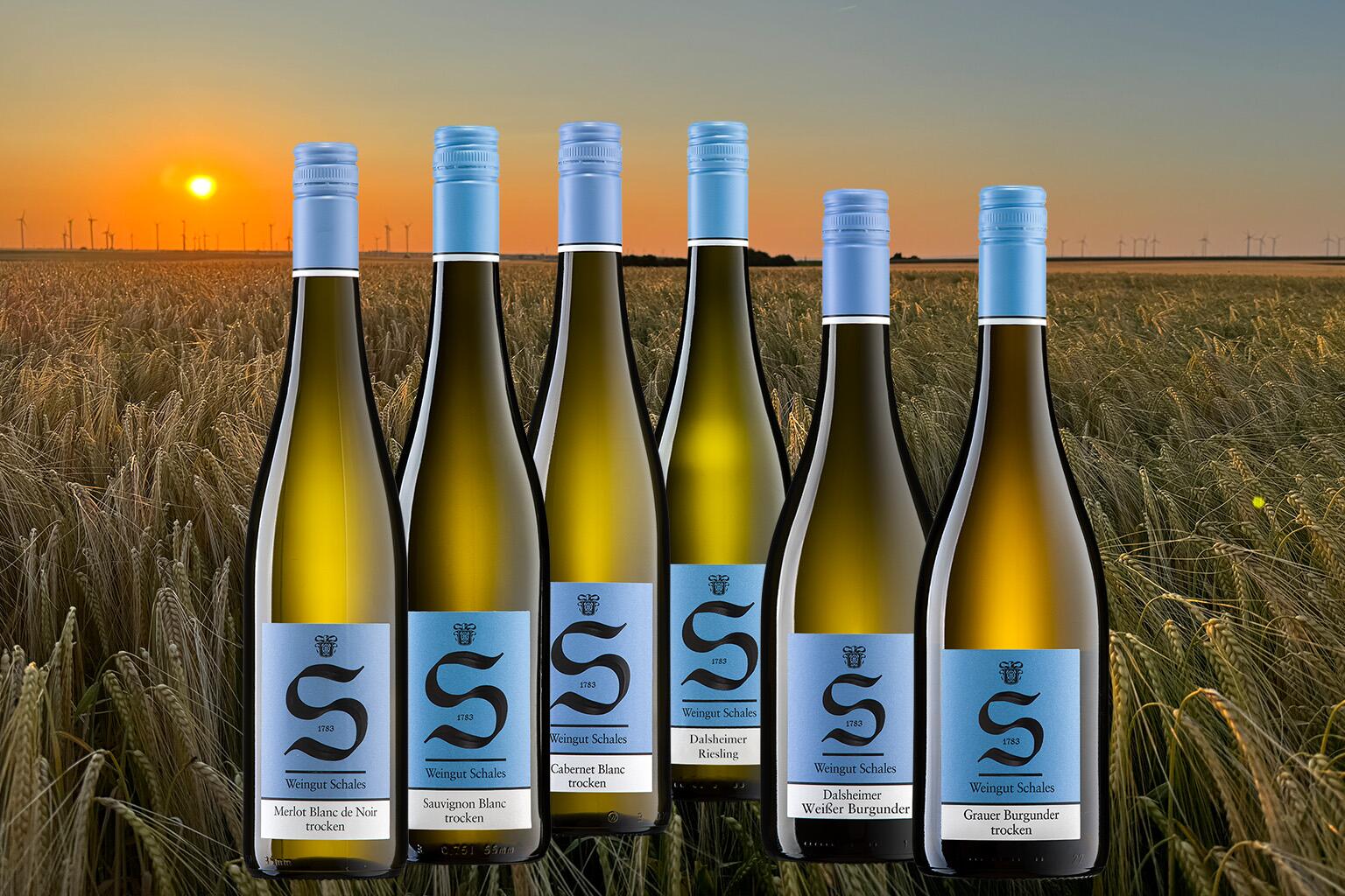 Sommer-Weine TROCKEN (Nr. P095)