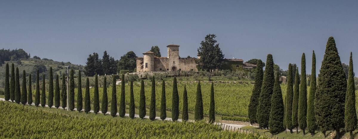 Weingut Castello di Gabbiano