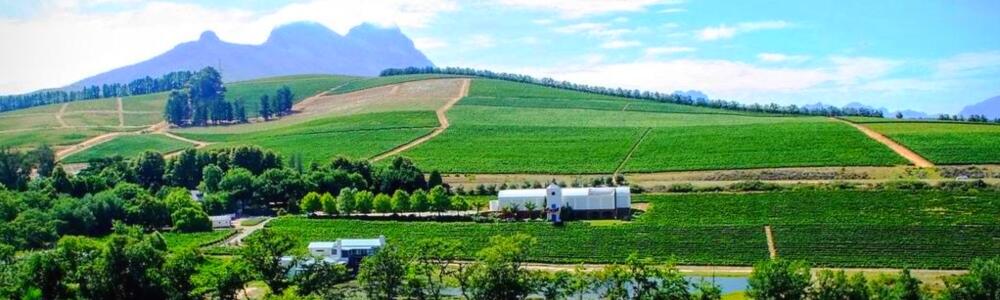 Weingut Laibach