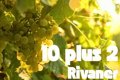 10 plus 2 Rivaner