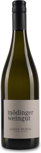 2024 Weißwein Cuvée "Junge Reben"