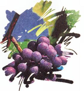 Logo von Weingut Anlag Kühne