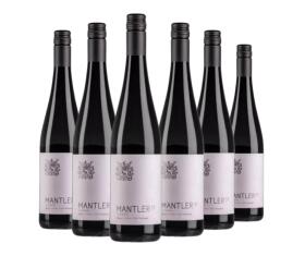 Kennenlern-Paket Weingut Mantler31