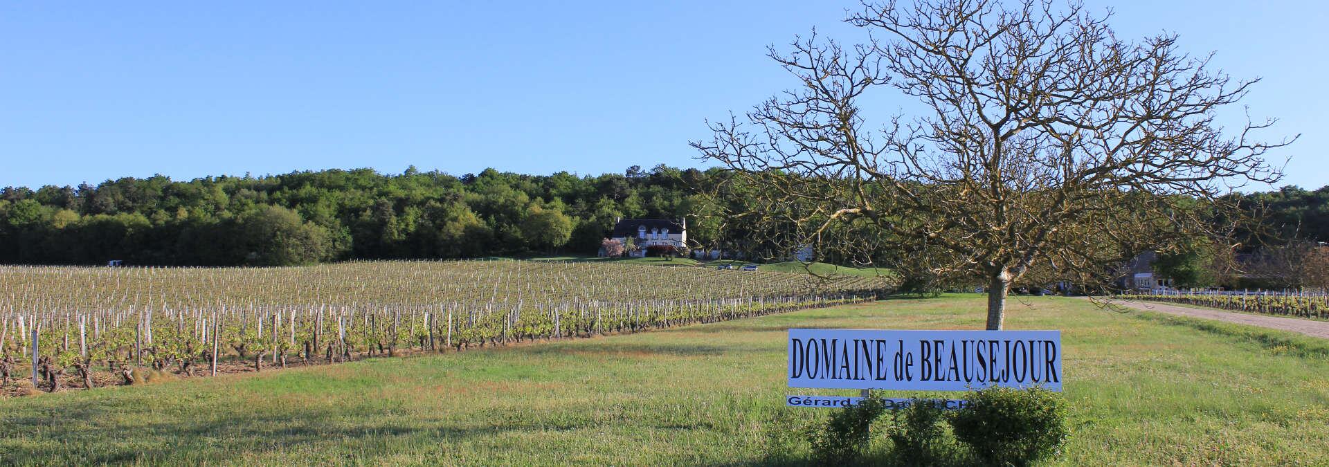 Domaine Beausejour - Philippe Trotignon