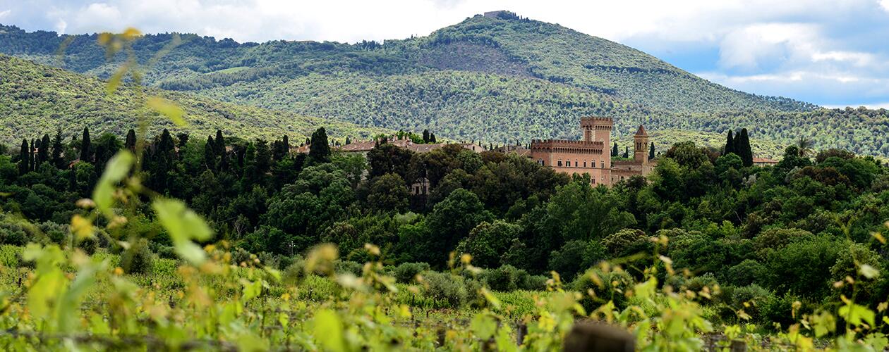 Weingut Castello di Bolgheri