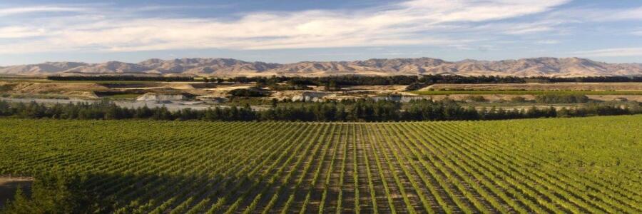 Weingut Cloudy Bay