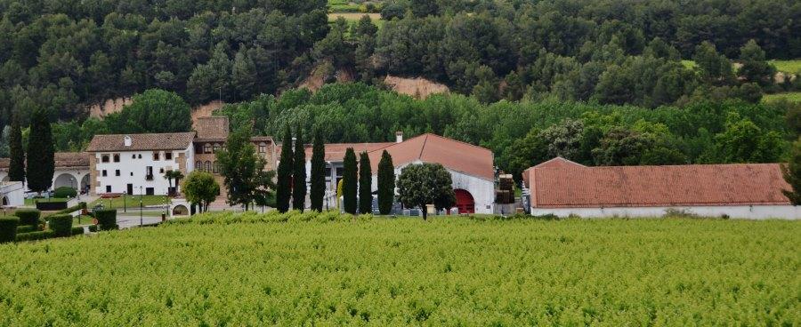 Weingut Segura Viudas