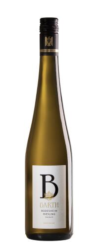 2023 RÜDESHEIM RIESLING feinherb