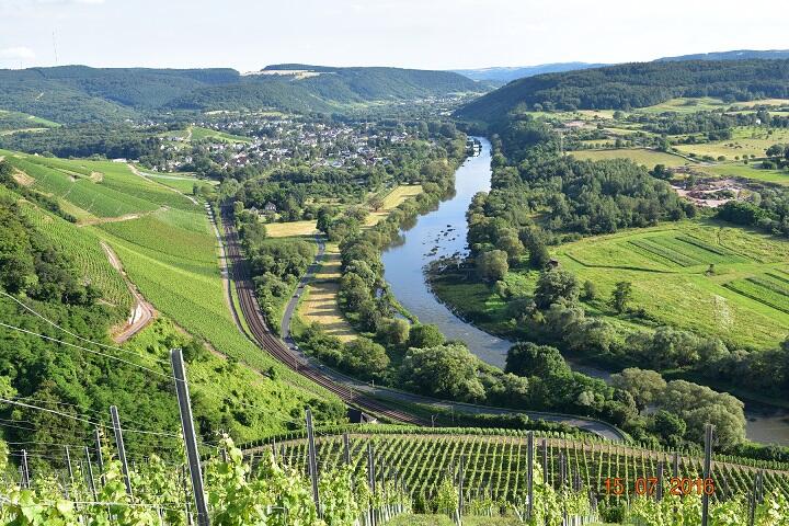 Weingut - Brennerei Borens