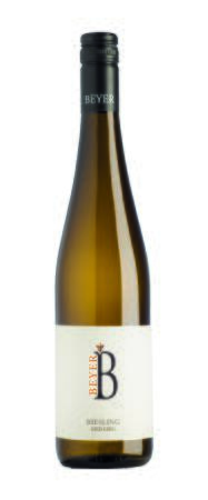 2020 Riesling Ried Berg
