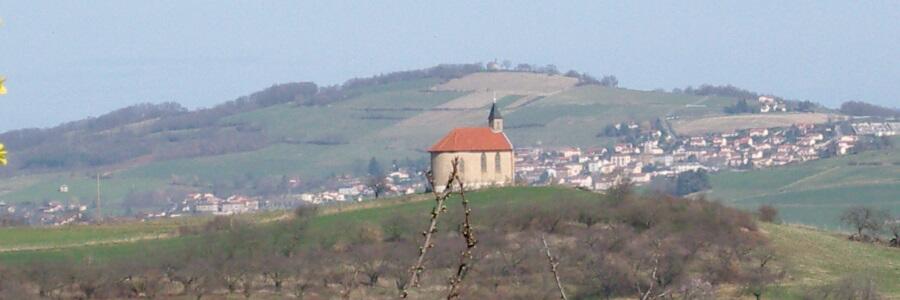 Weingut Château de Bruthel