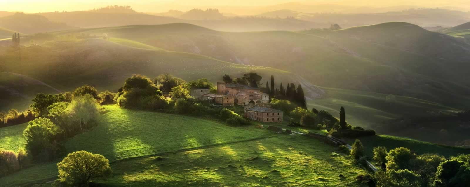 Cantina dei Vini Tipici dell'Aretino