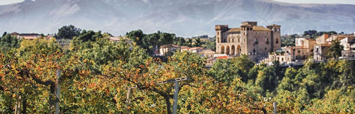 Weingut Tenuta Ulisse