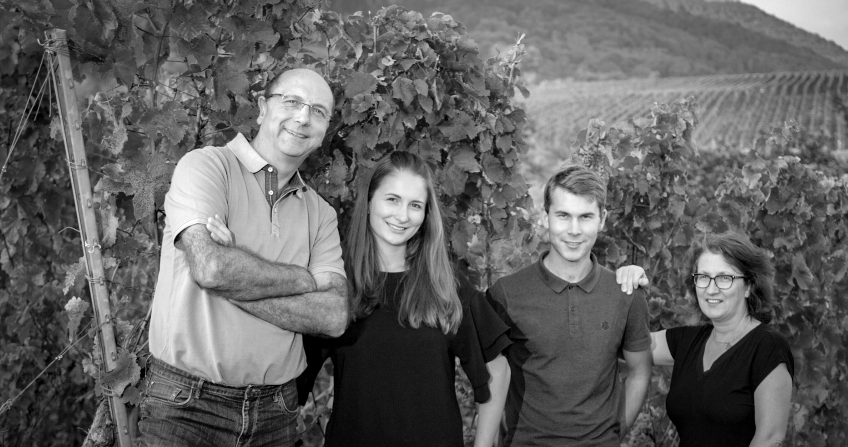 Weingut - Gästehaus Hermann Eberle