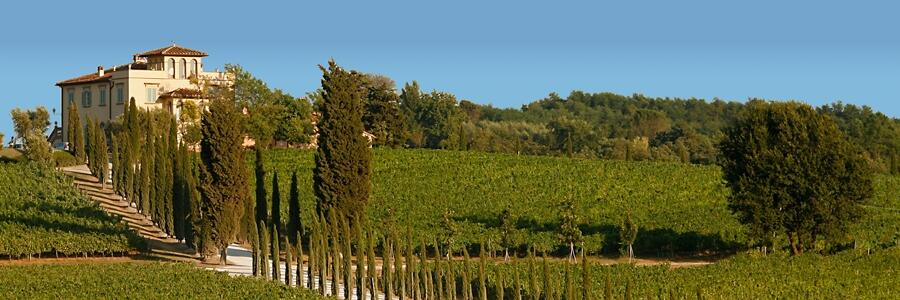 Weingut Famiglia Castellani