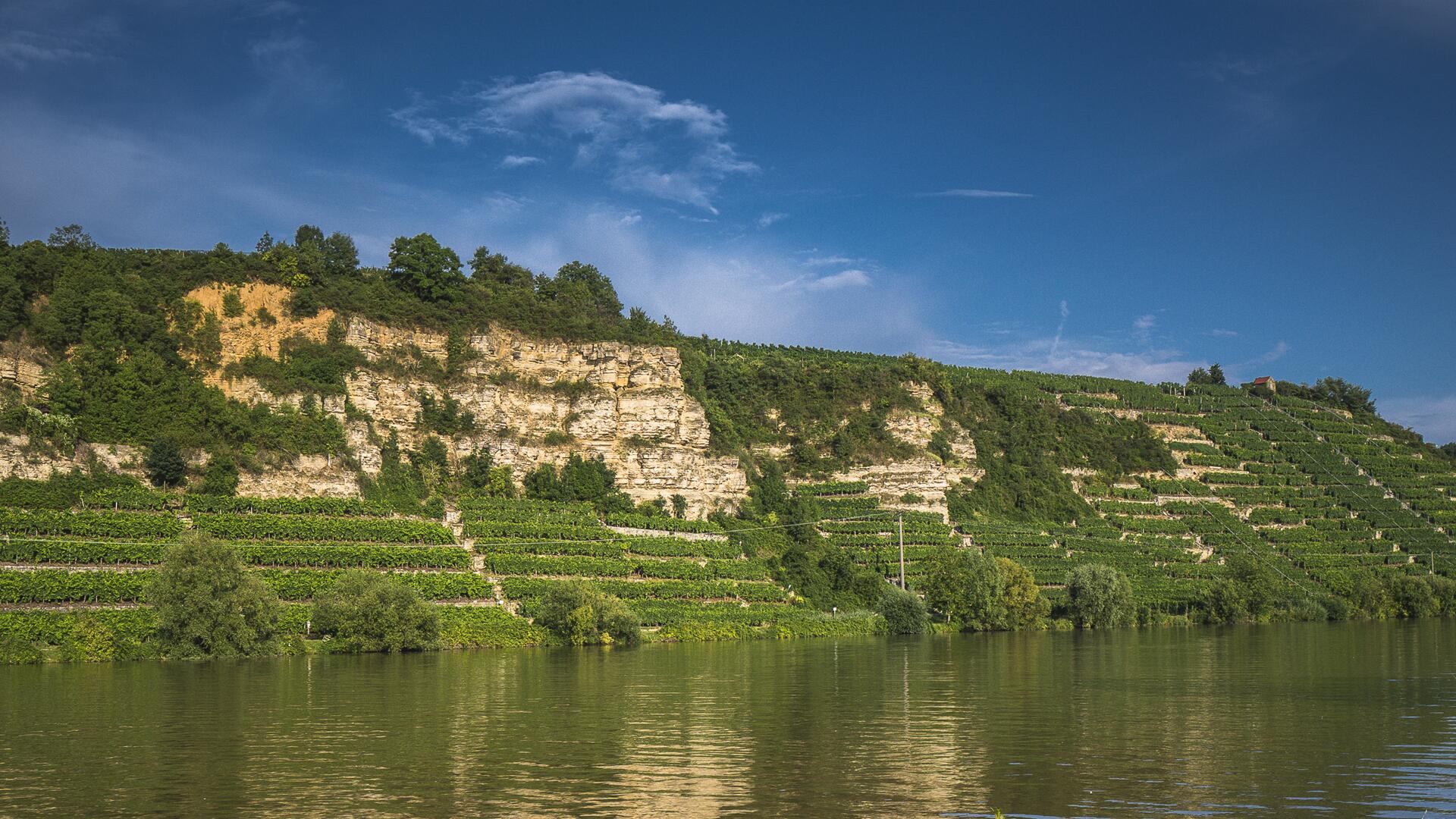 Lauffener Weingärtner eG: Hof Alle Weine bestellen Preisen ab zu