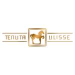 Logo von Ulisse