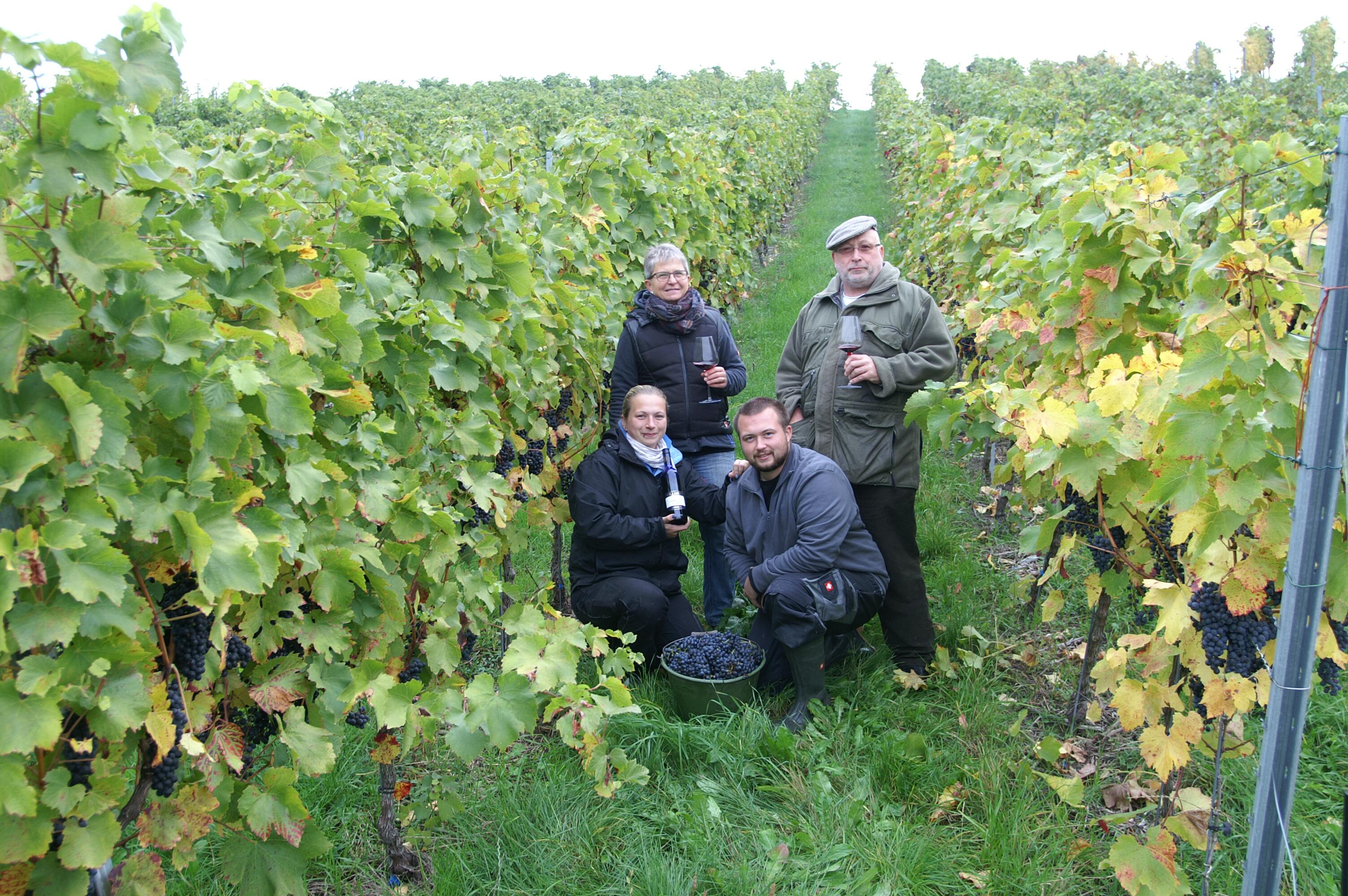 Weingut Vollmer (Württemberg)