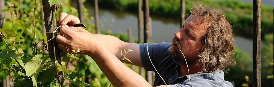 Weingut Clemens Busch