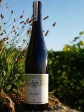 Riesling trocken GG HALDE Schnait Karl Haidle