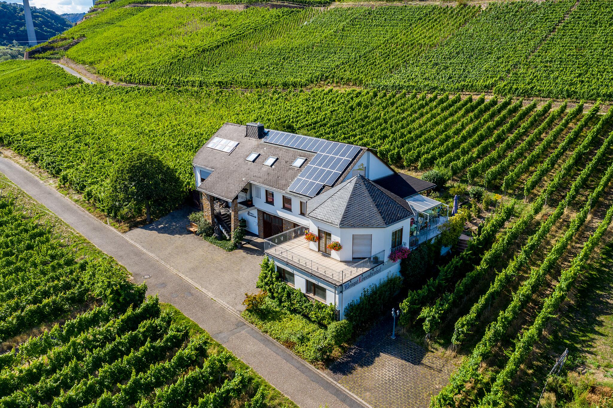 Weingut Löwensteinhof