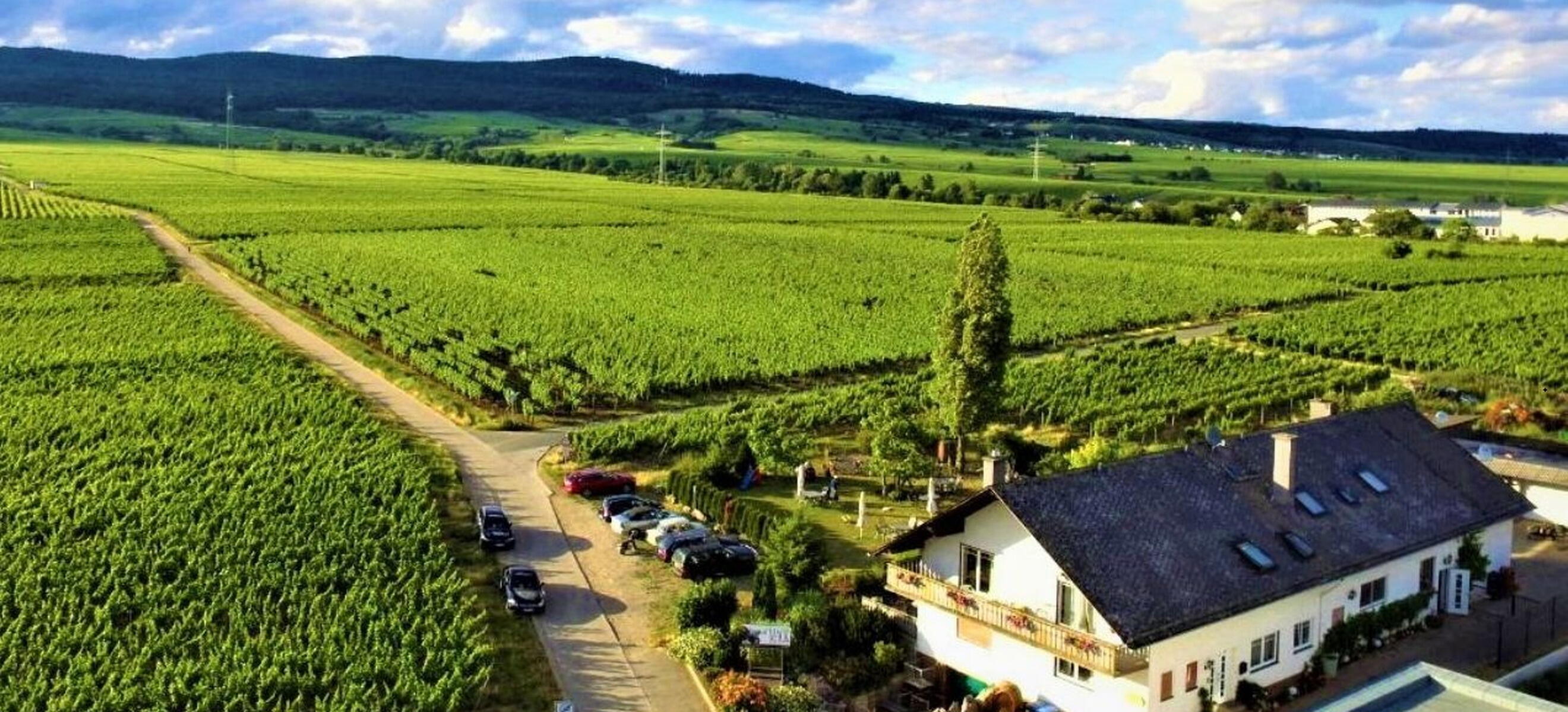 Weingut Mack, Hans-Norbert