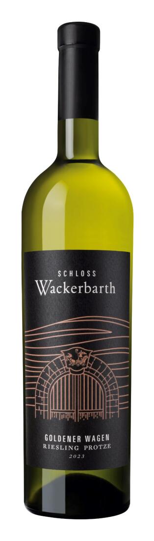 2023er Riesling Goldener Wagen QW Protze