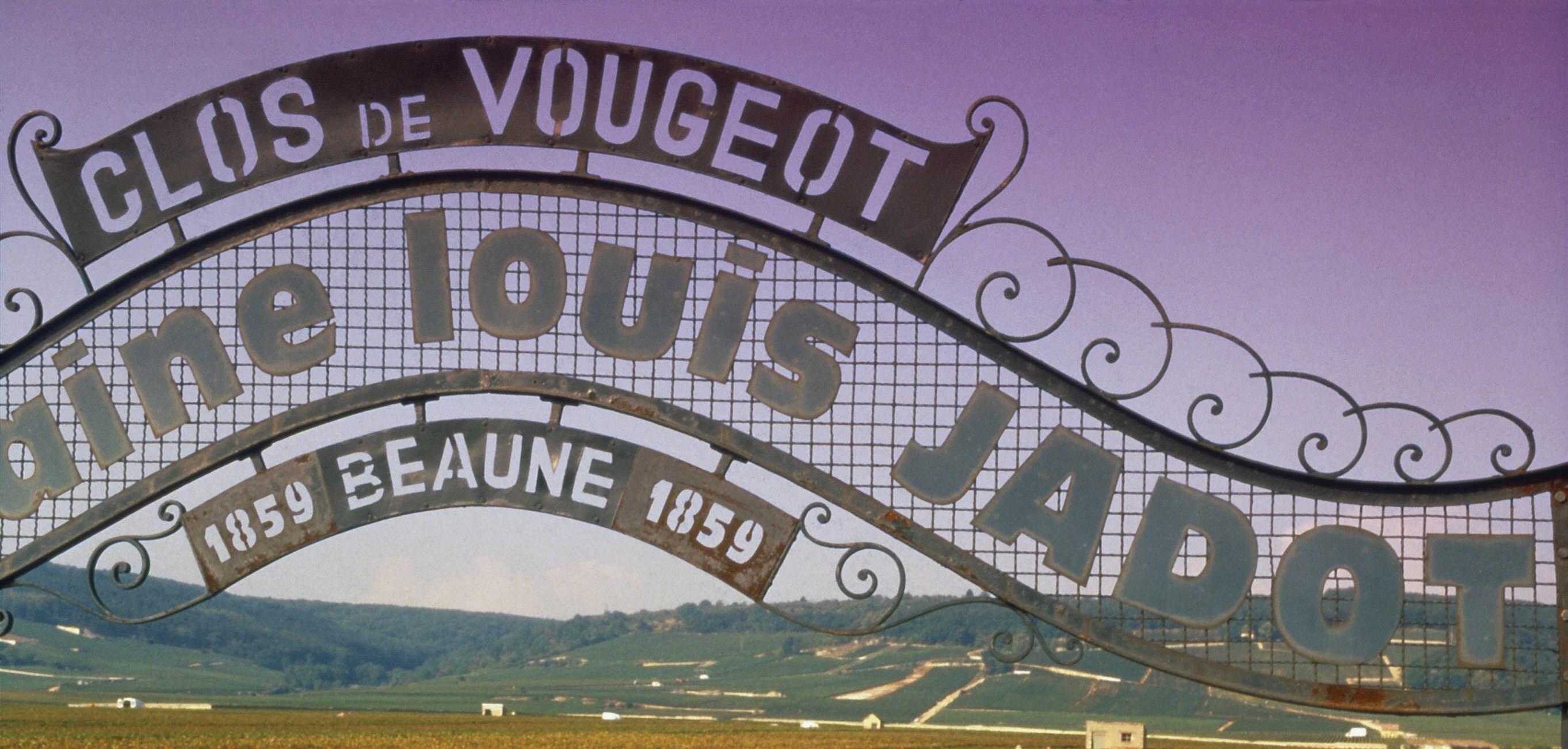Weingut Louis Jadot