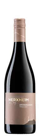 Spätburgunder Rotwein trocken I 2023