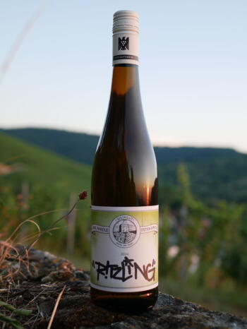 2024 Ritzling Riesling trocken -BIO-