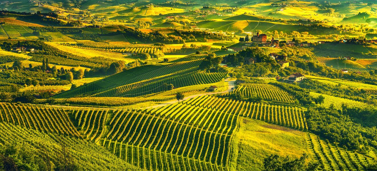 Societa Agricola Cascina Fonda