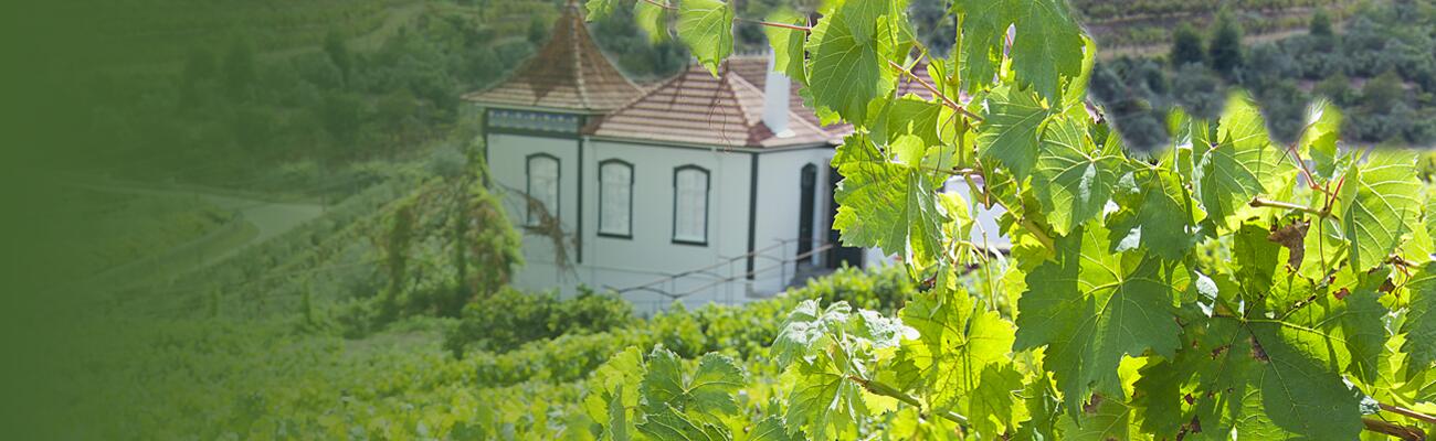 Weingut Solar de Cambres