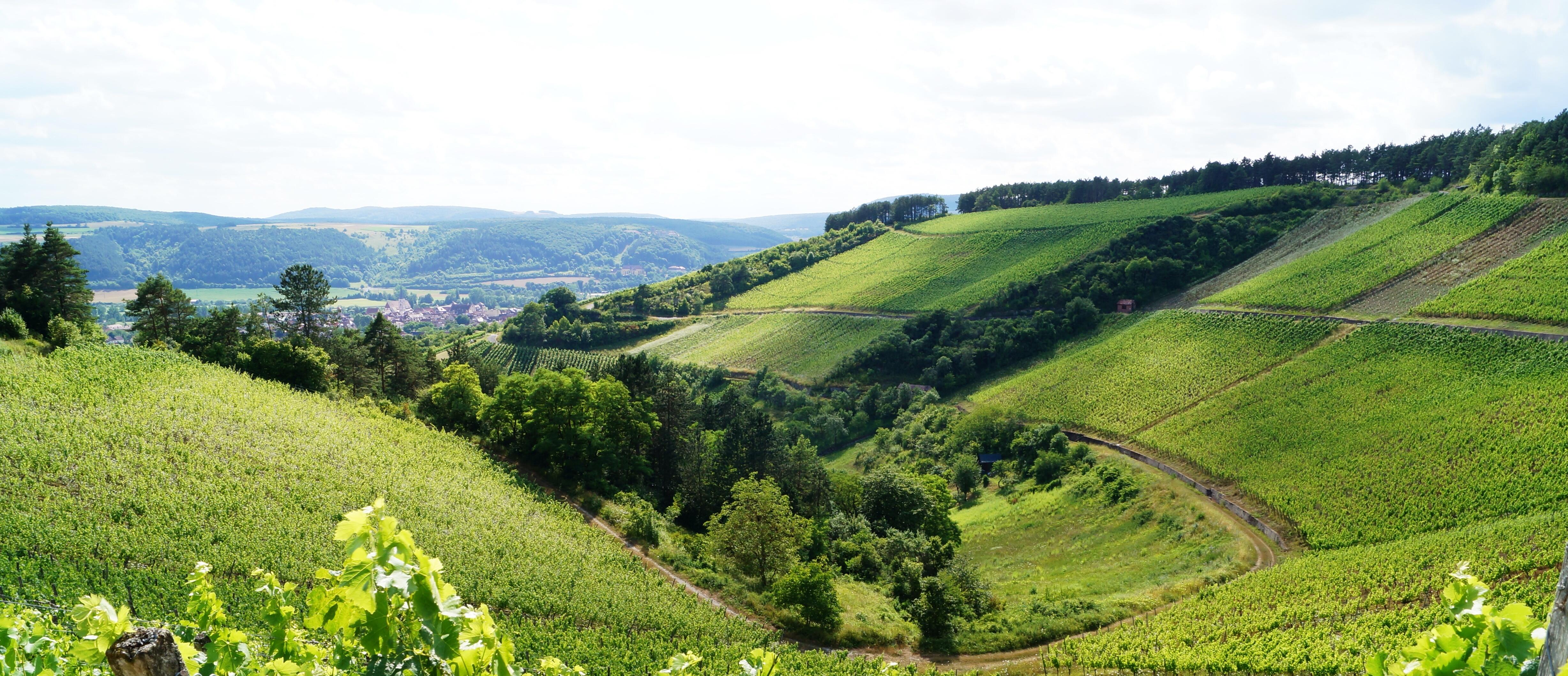 Weingut Lange - Schloss Saaleck