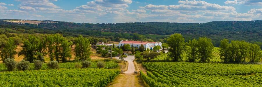 Weingut Monte da Ravasqueira