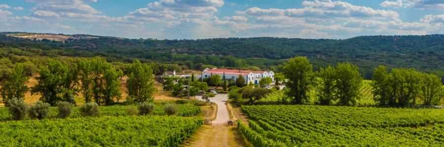 Weingut Monte da Ravasqueira