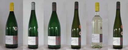 Probiererlebnispaket Trocken / Halbtrocken