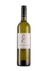 2021 Sauvignon blanc