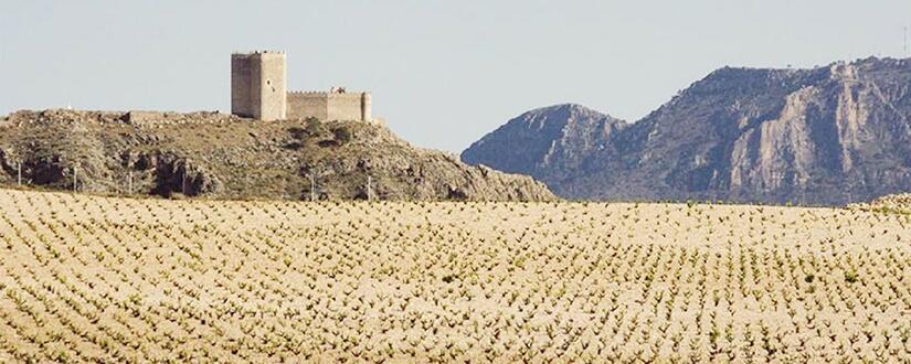 Bodegas Alceño