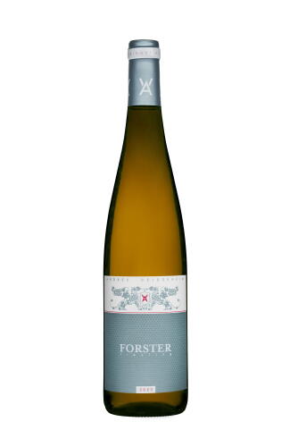 2025 Forster Riesling QbA trocken (bio)