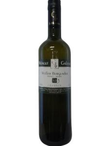 Weißer Burgunder Kabinett trocken 2023 Weingut Galena