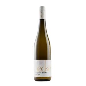 2020 Sauvignon Blanc