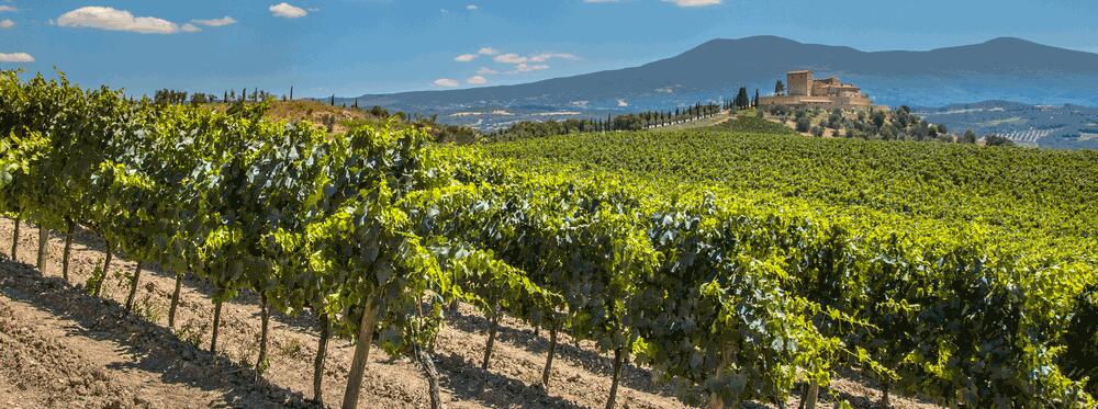 Weingut Château Haut Branda