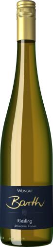 2022 Riesling -Steinrossel- No.1 trocken
