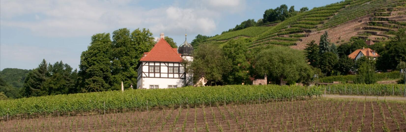 Weingut Hoflößnitz GmbH