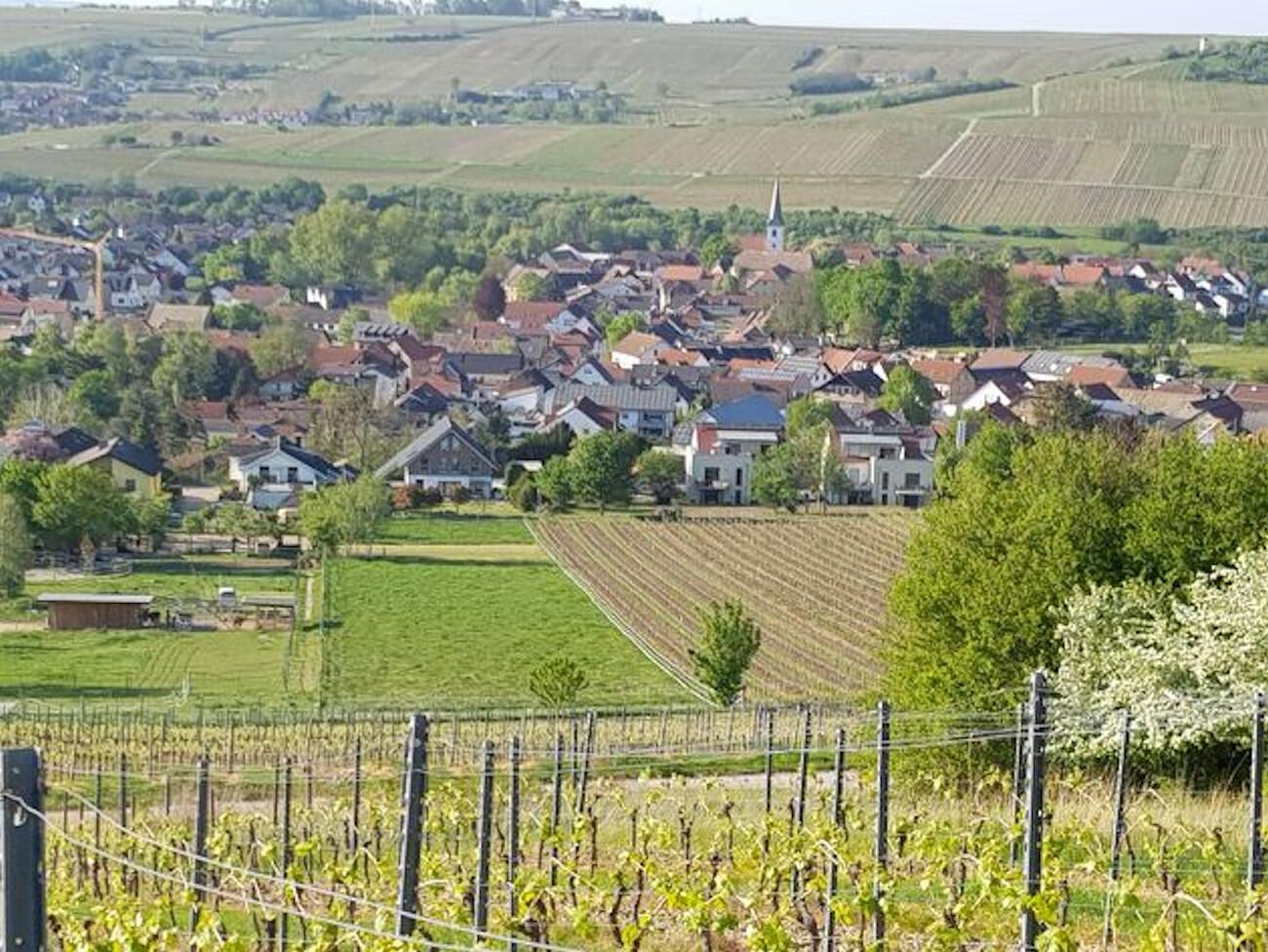 Winzerhof Wolf-Holl 