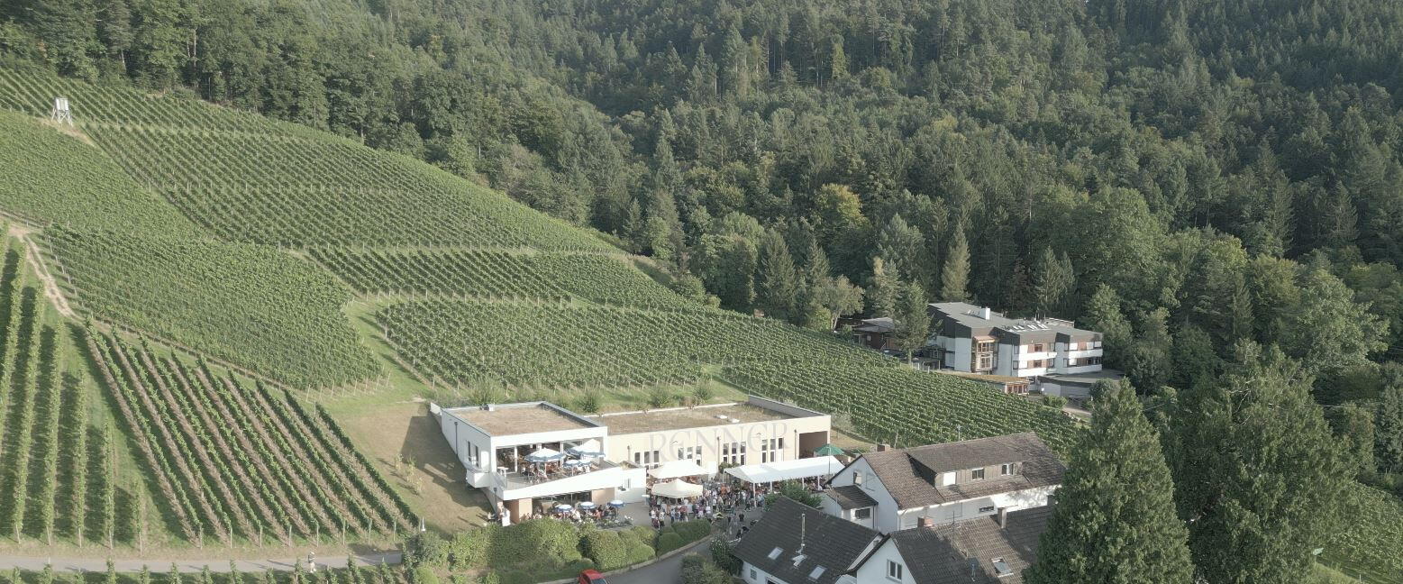 Familien-Weingut Renner
