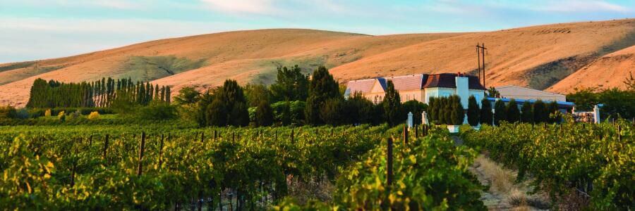 Weingut Hedges Family Estate